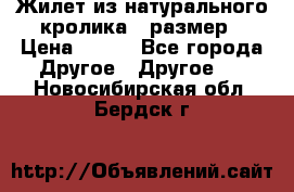 Жилет из натурального кролика,44размер › Цена ­ 500 - Все города Другое » Другое   . Новосибирская обл.,Бердск г.